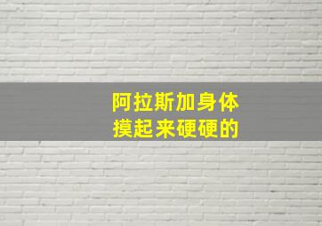 阿拉斯加身体 摸起来硬硬的